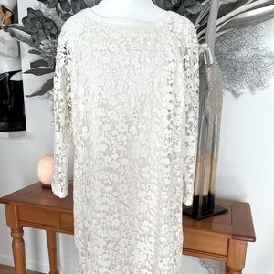 Ann Taylor Lace Dress